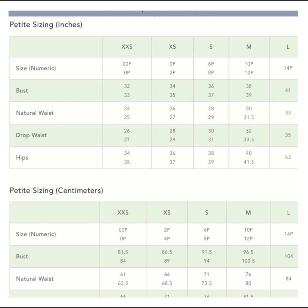 BNWT MAEVE Pintucked Sleeveless Blouse Size XSP - Picture 3 of 3